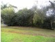 Wingham NSW 2429