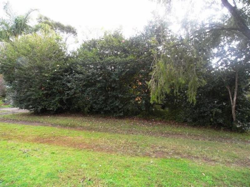 Wingham NSW 2429