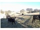 Bunyah NSW 2429