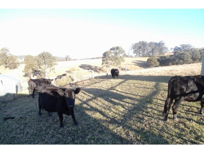 Bunyah NSW 2429
