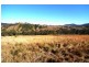 Mount George NSW 2424