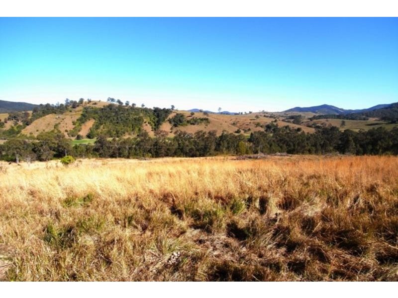 Mount George NSW 2424