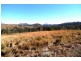 Mount George NSW 2424