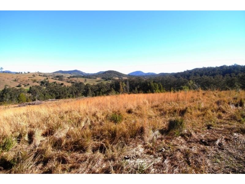 Mount George NSW 2424