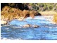 Mount George NSW 2424