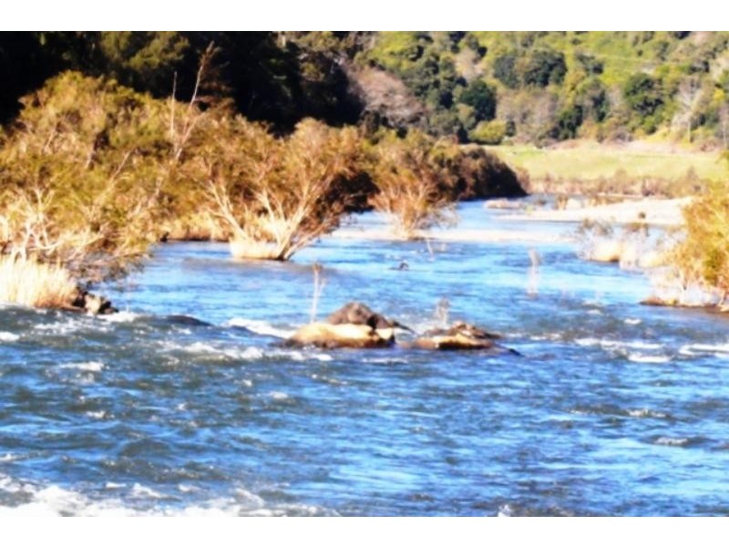 Mount George NSW 2424