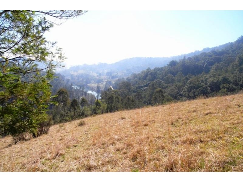 Mount George NSW 2424