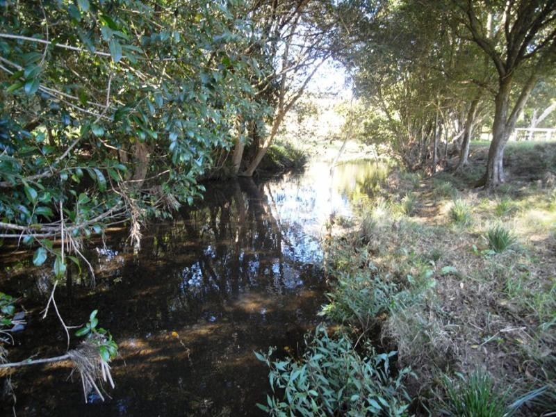 Strathcedar NSW 2429