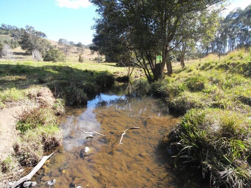 Strathcedar NSW 2429