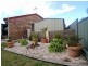 Wingham NSW 2429