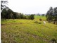 Wingham NSW 2429