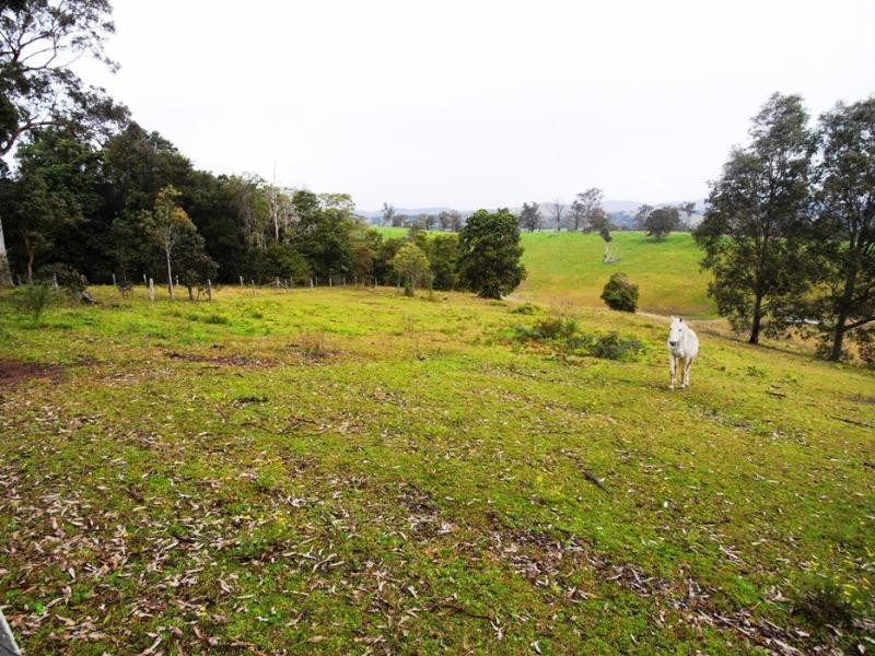 Wingham NSW 2429