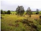 Wingham NSW 2429