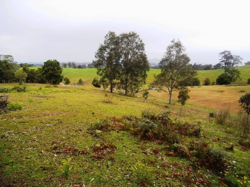 Wingham NSW 2429