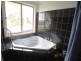Wingham NSW 2429