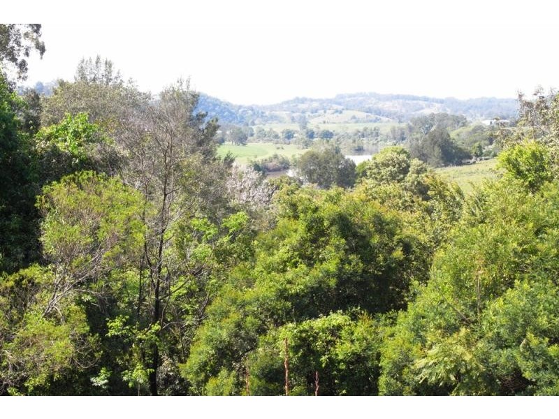 Wingham NSW 2429
