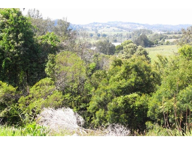 Wingham NSW 2429