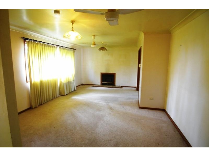 Wingham NSW 2429