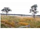 Nabiac NSW 2312
