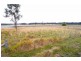 Nabiac NSW 2312