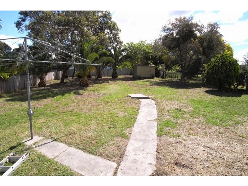 Wingham NSW 2429