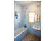 Wingham NSW 2429