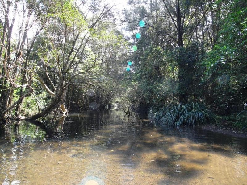 Bobin NSW 2429