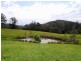 Bobin NSW 2429