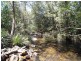 Bobin NSW 2429
