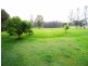 Wingham NSW 2429