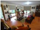 Wingham NSW 2429