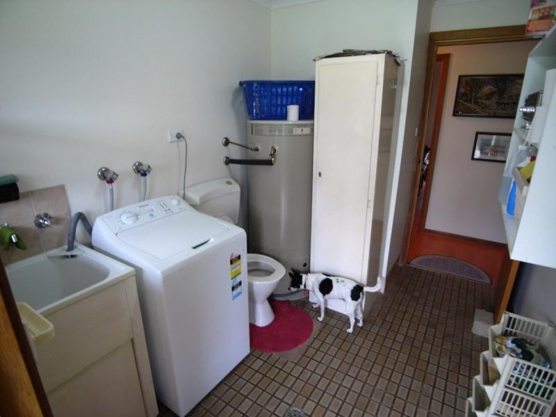 Wingham NSW 2429