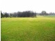 Wingham NSW 2429