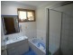 Wingham NSW 2429
