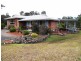 Wingham NSW 2429