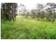 Wingham NSW 2429