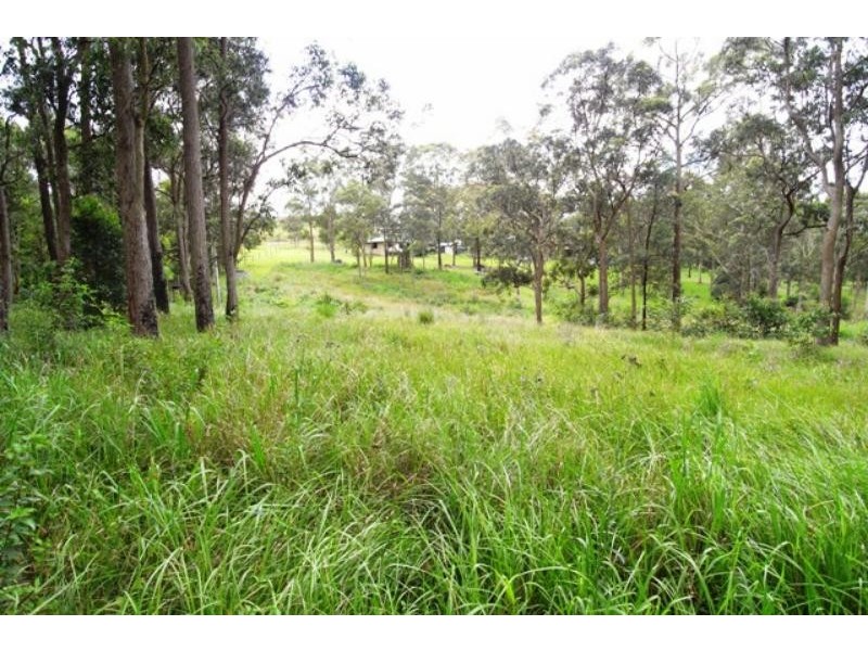 Wingham NSW 2429
