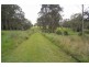 Wingham NSW 2429