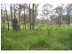 Wingham NSW 2429