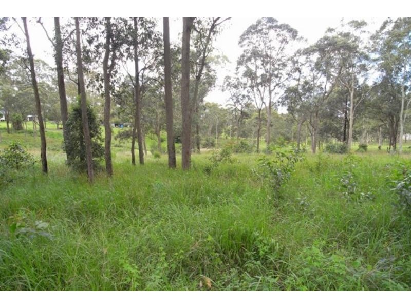 Wingham NSW 2429