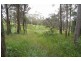 Wingham NSW 2429