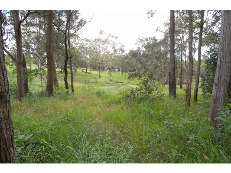 Wingham NSW 2429