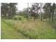 Wingham NSW 2429