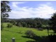 Wingham NSW 2429