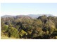 Wingham NSW 2429