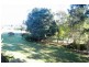 Wingham NSW 2429
