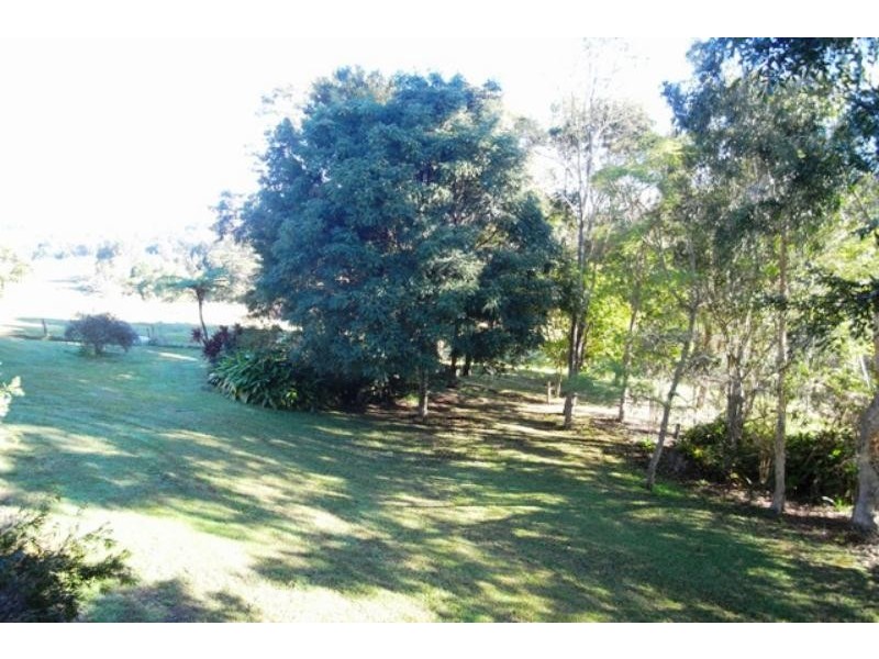 Wingham NSW 2429
