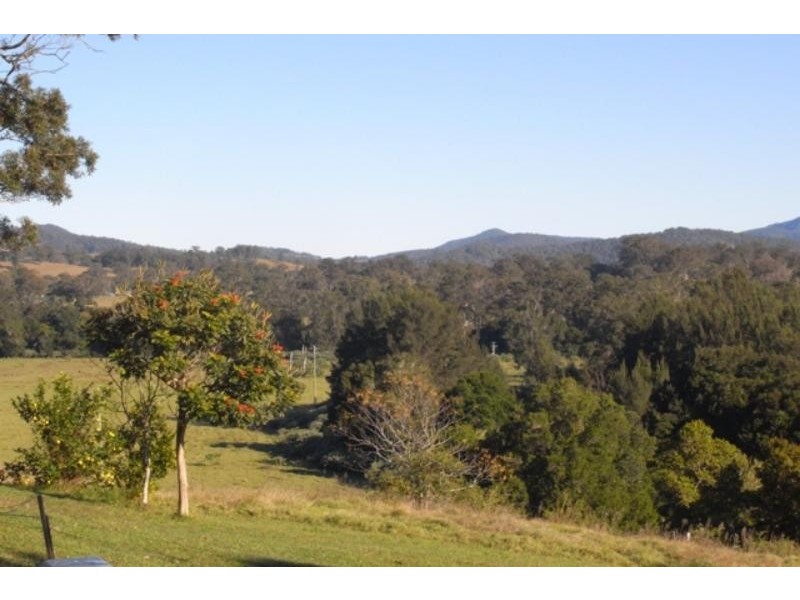 Wingham NSW 2429