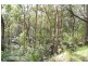 Burrell Creek NSW 2429