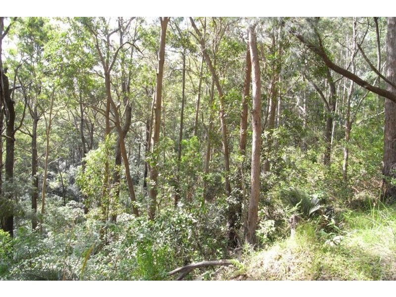 Burrell Creek NSW 2429